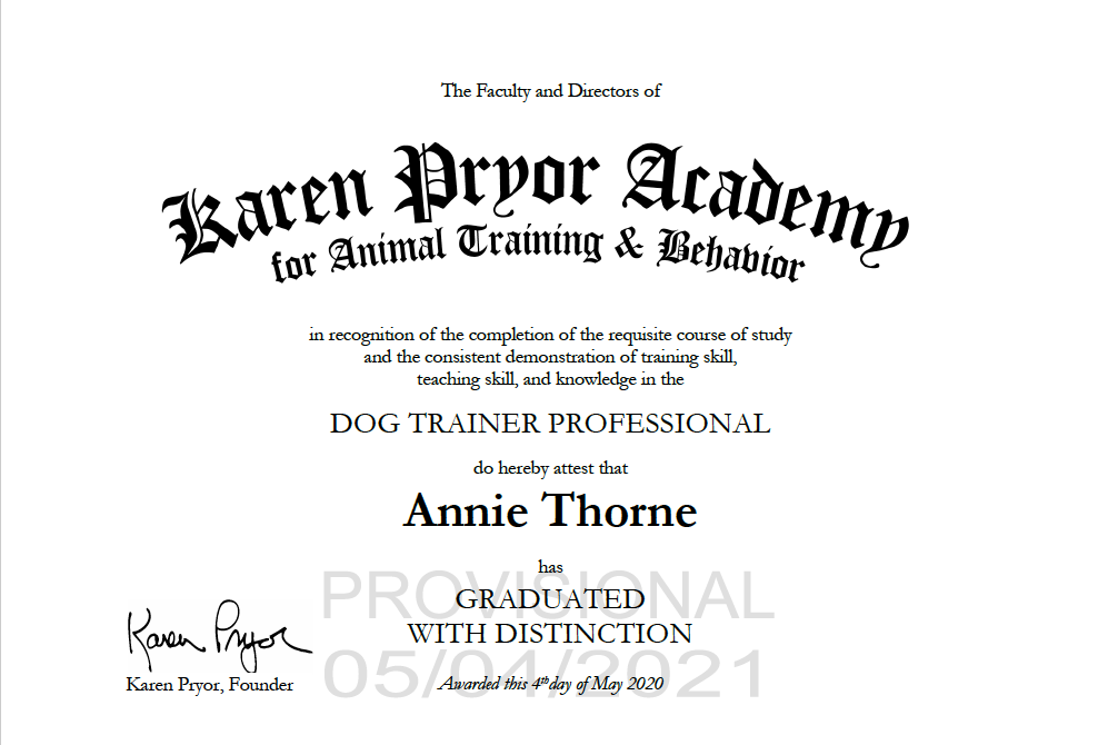 Pandemic Accomplishments and a Certificate