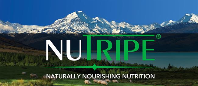 The nutripe logo with mountains in the background.