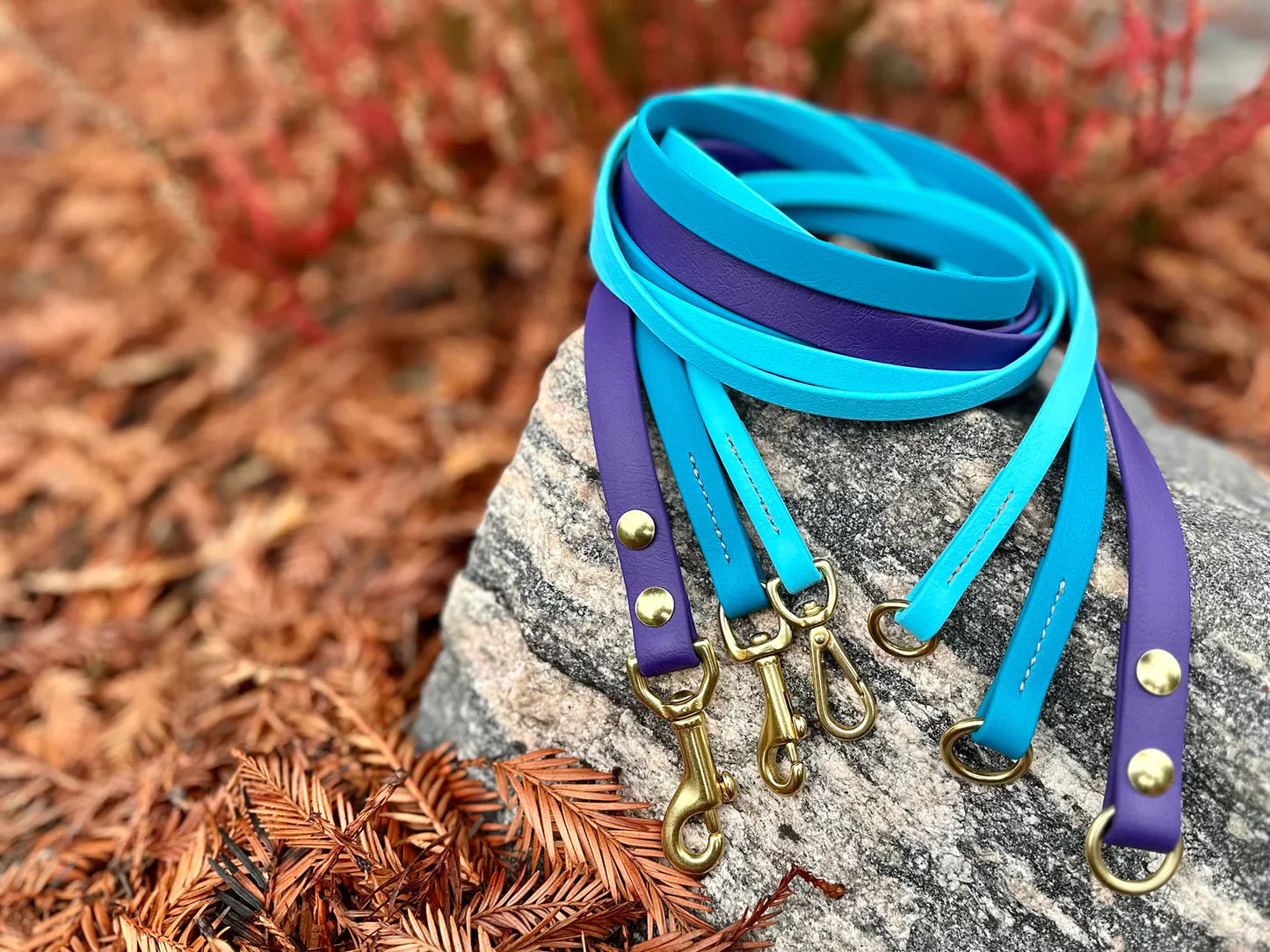 Blue and purple Trailblazing Tails: Long Line and Leash Extension (1/2 inch/Medium Dog) from Your Whole Dog with gold clasps are coiled on a rock, surrounded by autumnal foliage.