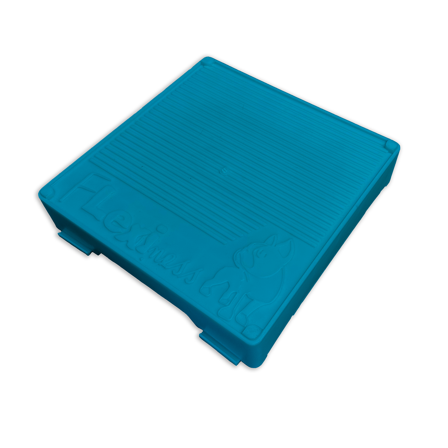 The Flexiness FlexBlox by Flexiness Canine Fitness Equipment is a blue, stackable rectangular plastic dog training platform with a ribbed surface and "Flexiness" embossed beside a dog outline, ideal for canine exercises.