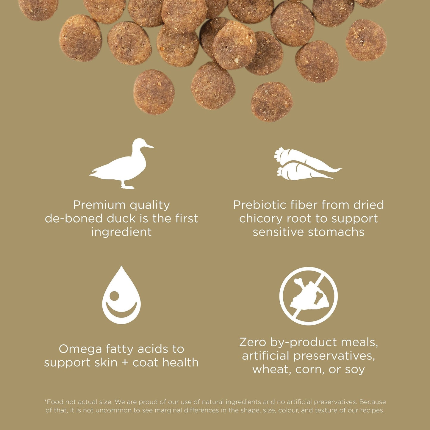 Go! Solutions SENSITIVITIES Grain Free Limited Ingredient Duck Recipe Dog Food features brown round kibble with icons for deboned duck, dried chicory root, omega fatty acids, and no by-product meals or artificial additives.