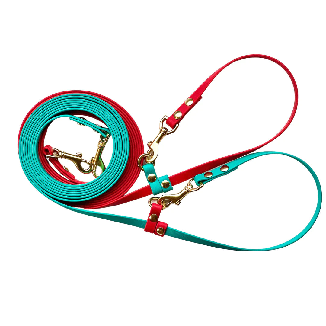 A red Trailblazing Tails: The Shadow Long Line with SLIDE TAB HANDLE - PRE-ORDER leash from Your Whole Dog with gold hardware.