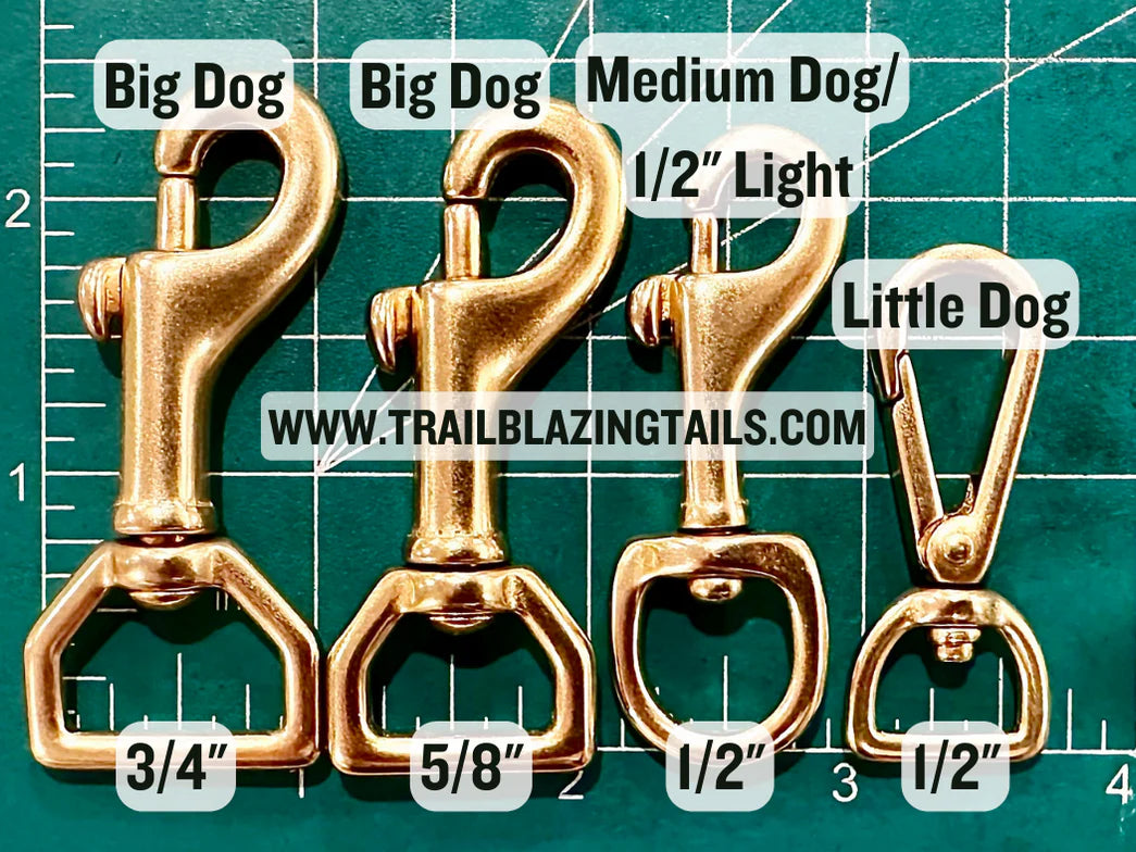 Trailblazing Tails The Little Dog