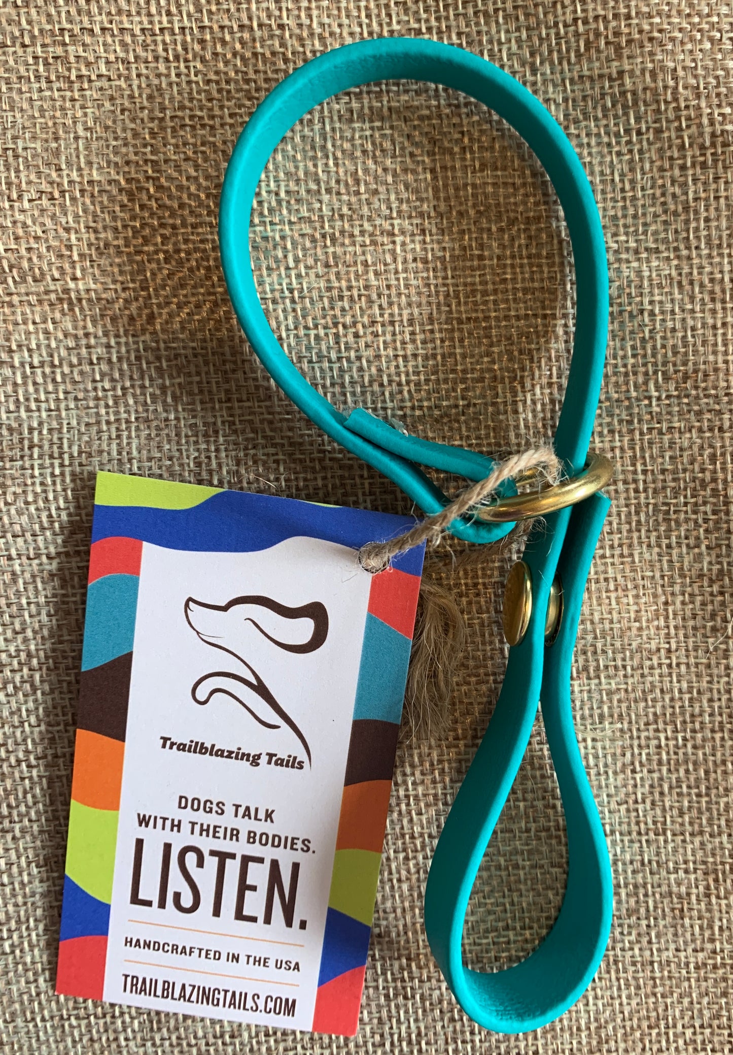 A Trailblazing Tails: The Long Line Holder blue dog leash with a snap by Your Whole Dog.