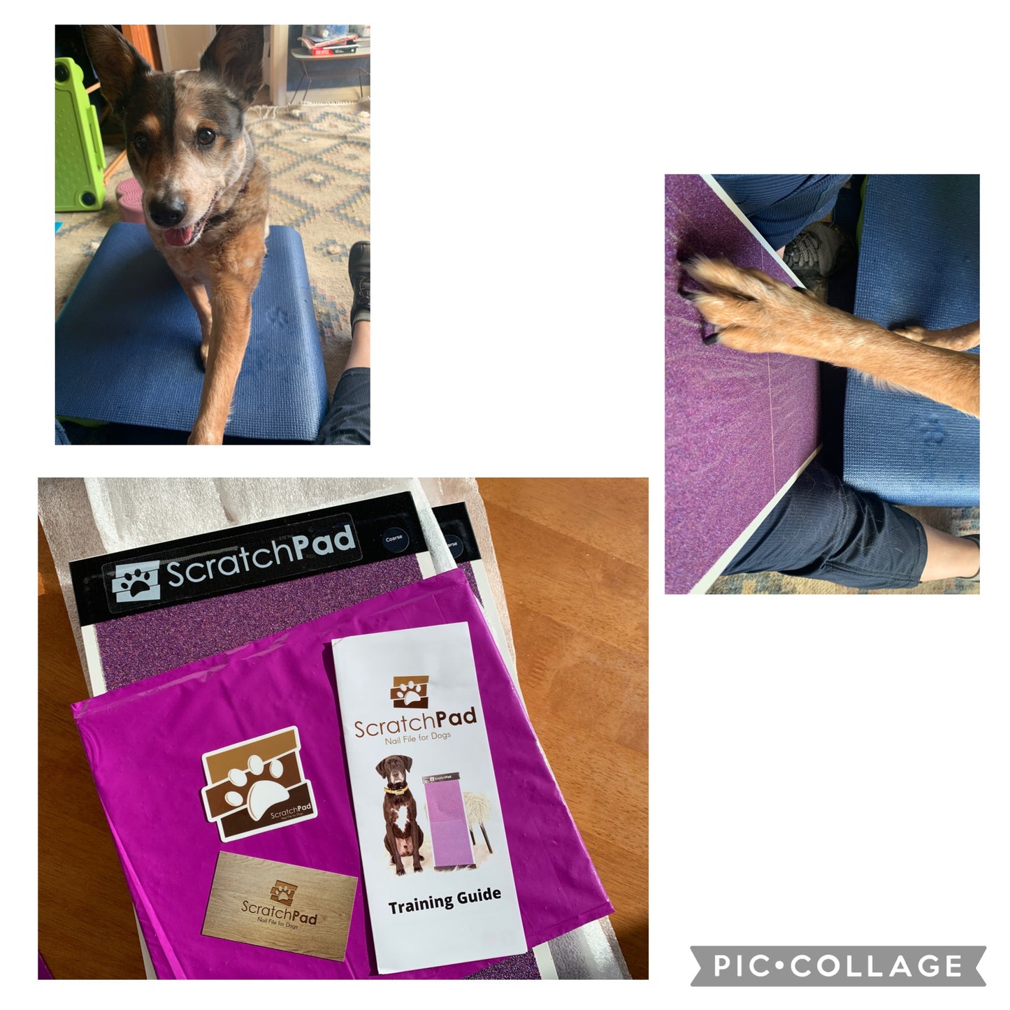 A dog uses the Fear Free® endorsed ScratchPad for Dogs Nail Scratch Boards by placing its paw on the textured surface. Two images show this, and a third image displays the kit, including nail boards and a training guide, on a table.