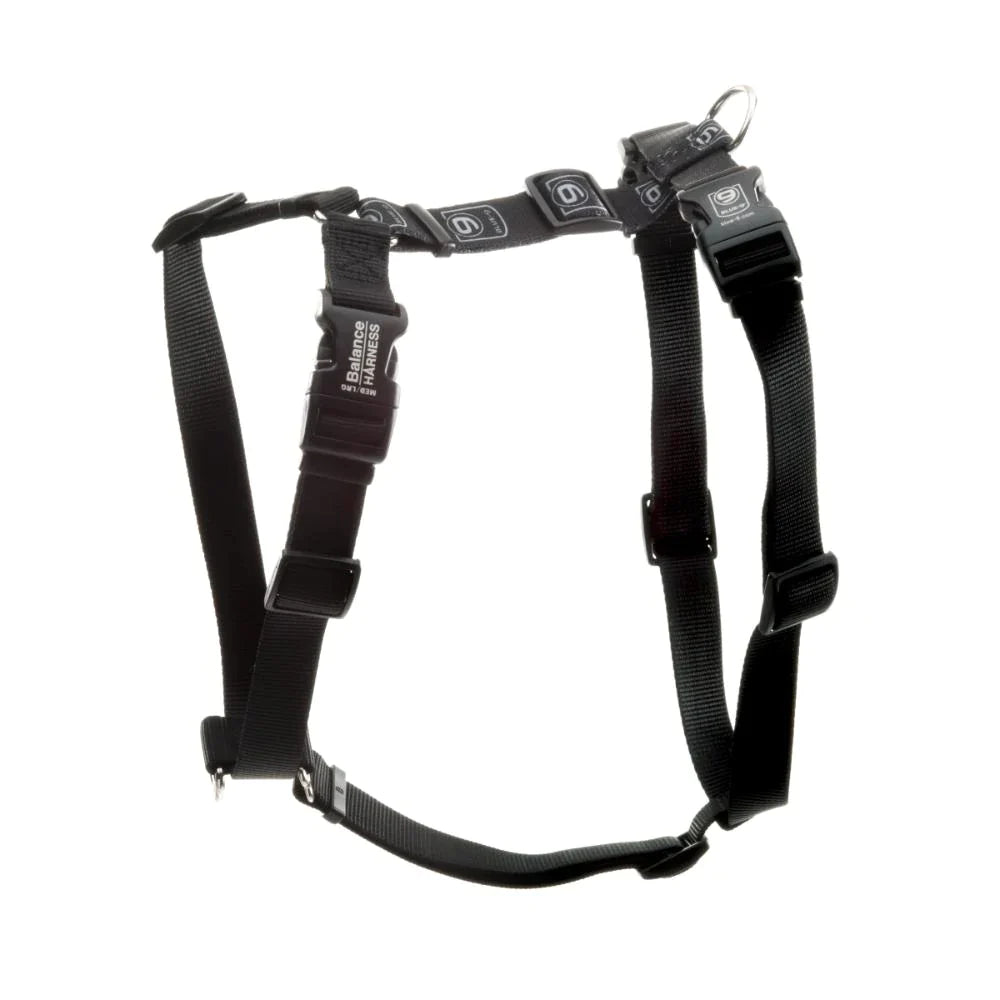 The Blue-9 Balance Harness - PRE-ORDER is an adjustable, black dog harness from Blue-9 with multiple buckles, convenient leash attachment points, and a sturdy metal ring, showcased against a white background.