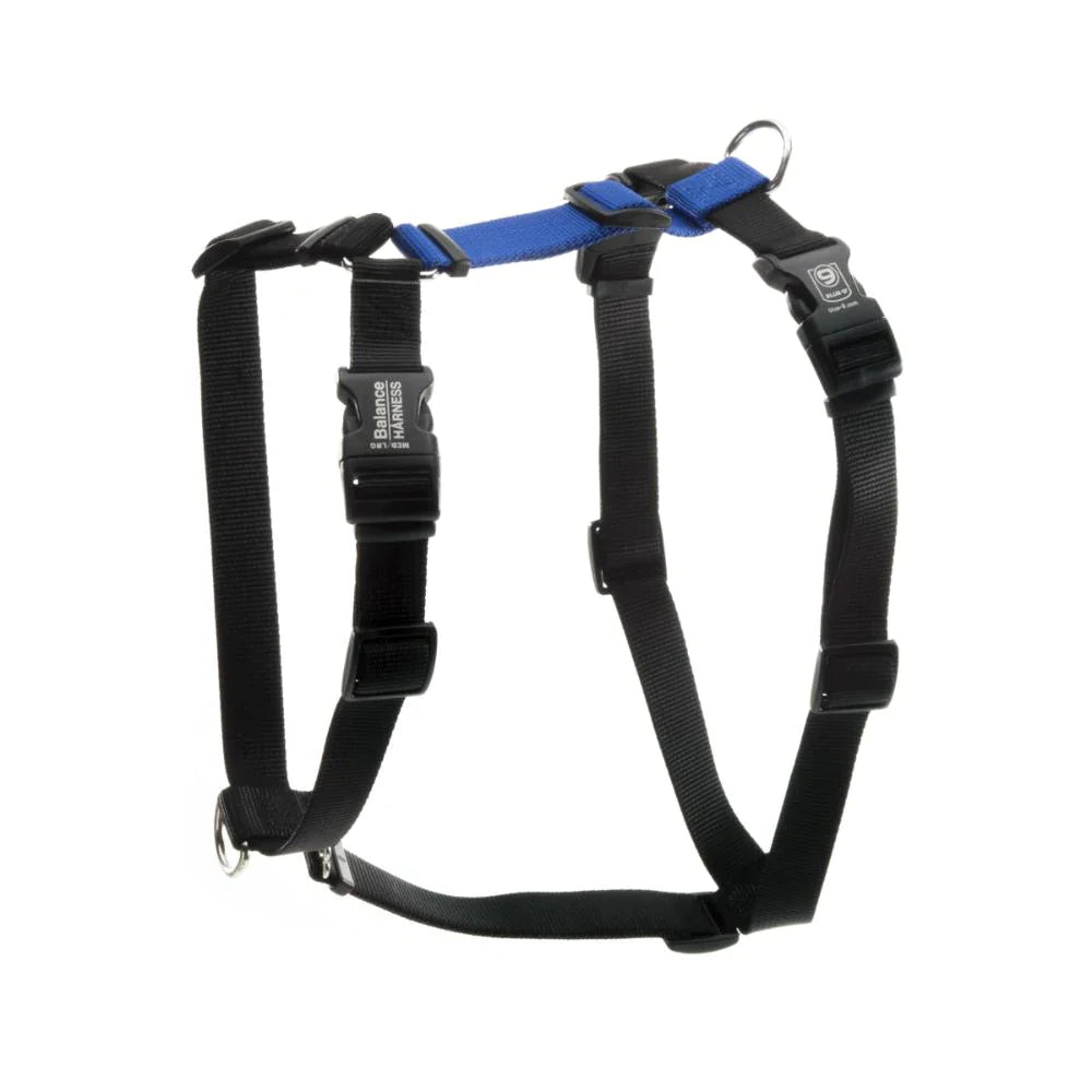 The Blue-9 Balance Harness in black with blue accents, featuring adjustable straps and metal leash points, offers comfort and security for pets. Inspired by the Blue-9 design, it's perfect for pet owners. Available for pre-order from Blue-9.