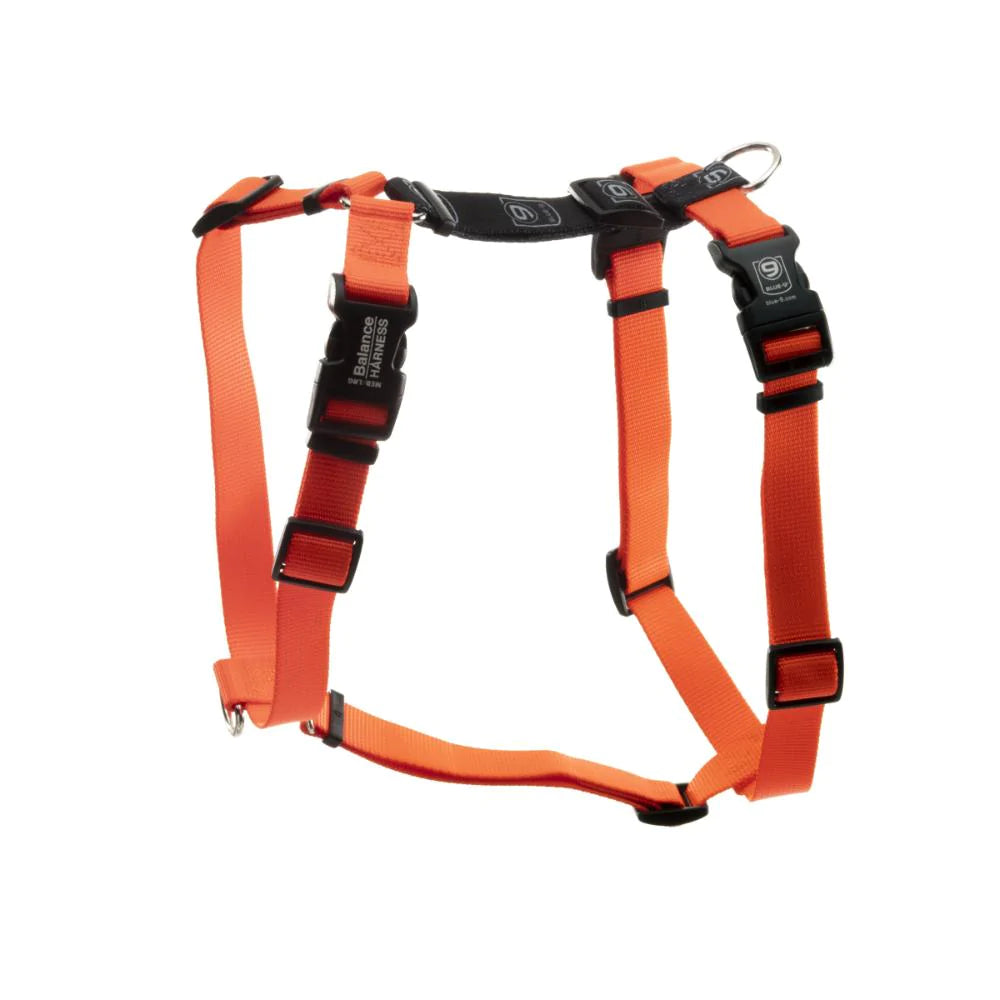 Orange dog harness with adjustable black buckles and metal rings, inspired by the Blue-9 Balance Harness - PRE-ORDER for maximum comfort, offering convenient leash attachment points.