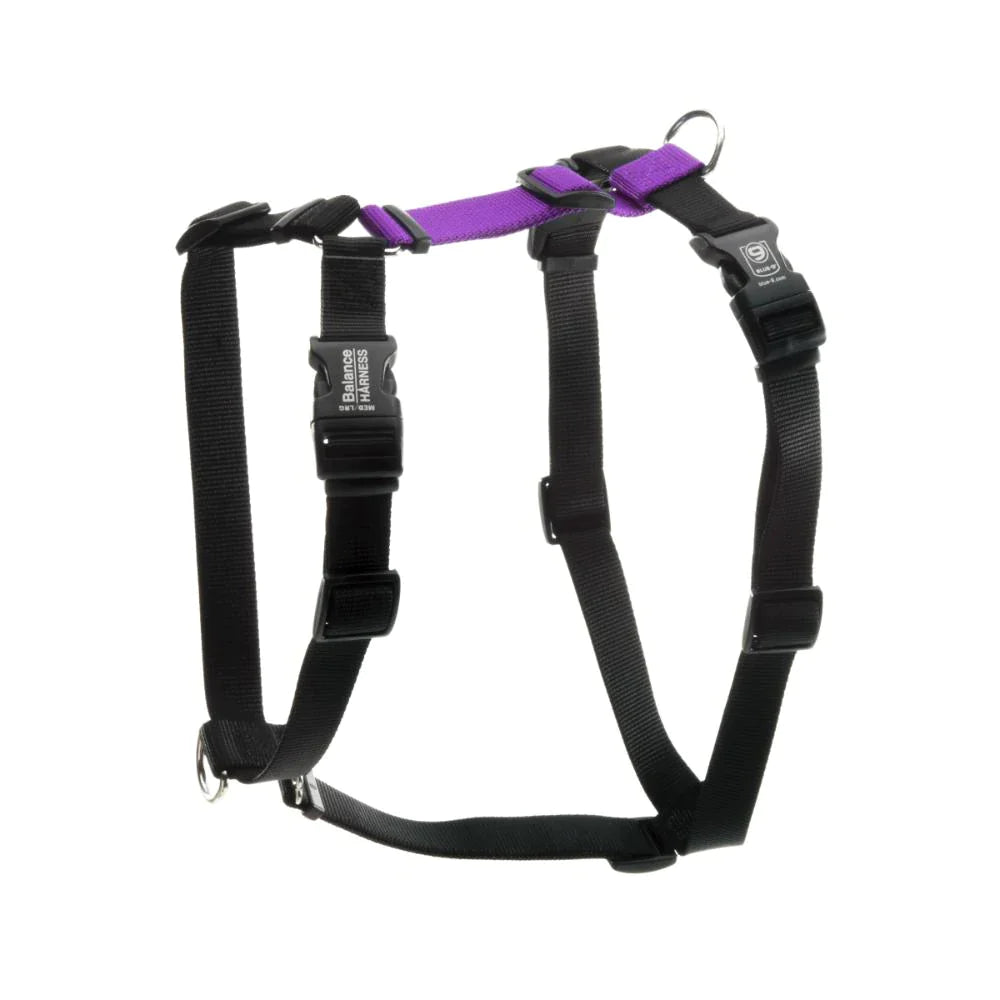 The Blue-9 Balance Harness - PRE-ORDER features black adjustable straps with a purple accent, plastic buckles, and metal rings for secure leash attachment.