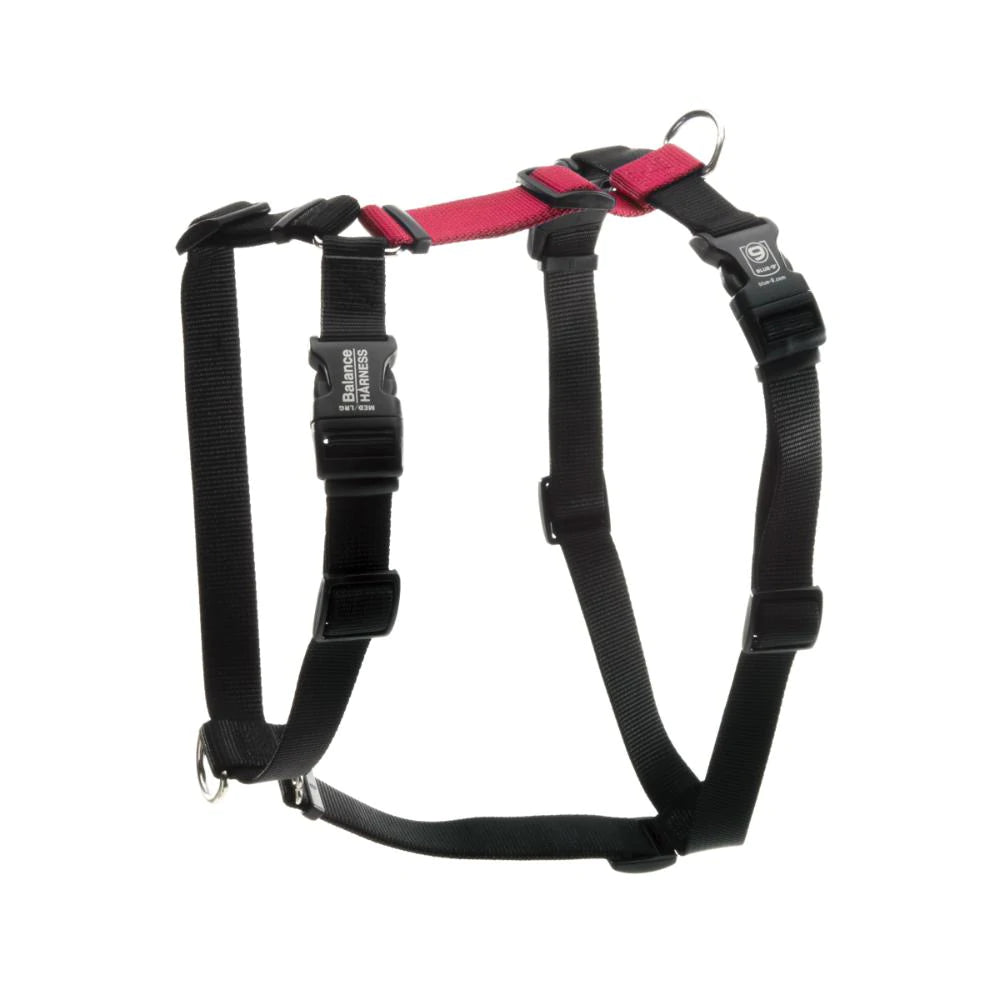 The Blue-9 Balance Harness by Blue-9, in black and red, is a non-restrictive harness with buckles, metal rings, and convenient leash attachment points. It's displayed on a plain white background.