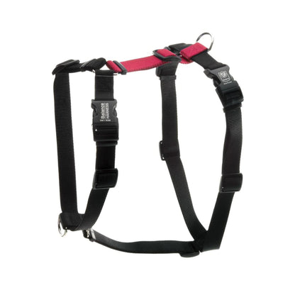 A Blue-9 Balance Harness in black and red, on a white background. Available from Your Whole Dog