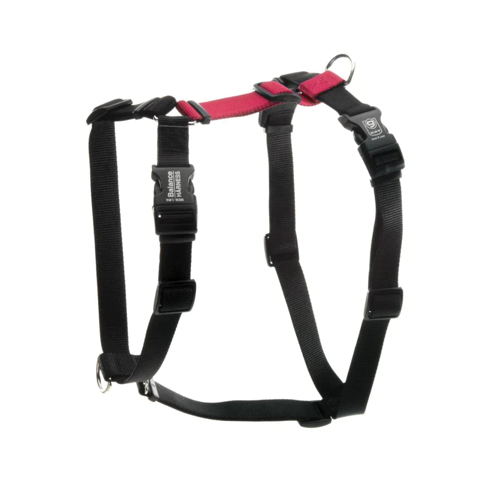 The Blue-9 Balance Harness - PRE-ORDER, by Blue-9, in black and red, offers adjustable straps with plastic buckles for a perfect fit and multiple leash attachment points for better control while walking.