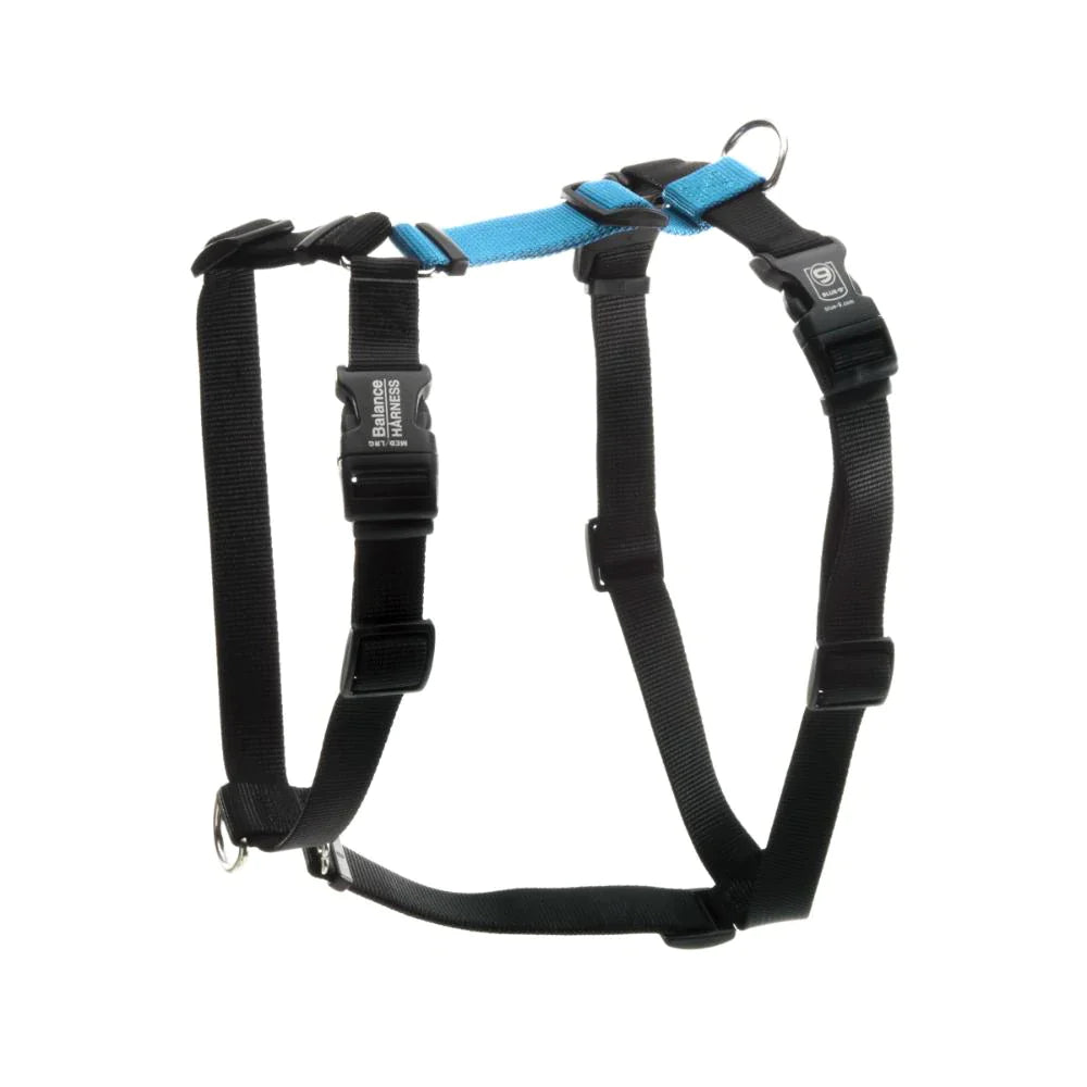 The Blue-9 Balance Harness - PRE-ORDER is a black and blue dog harness from Blue-9, adjustable with sturdy metal rings, plastic buckles, and multiple leash attachment points for convenience.
