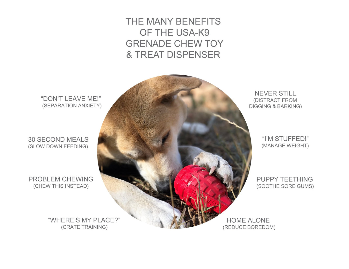 The many benefits of the CLEARANCE: Soda Pup GRENADE TOY & TREAT DISPENSER (M&L) by Your Whole Dog for dogs.