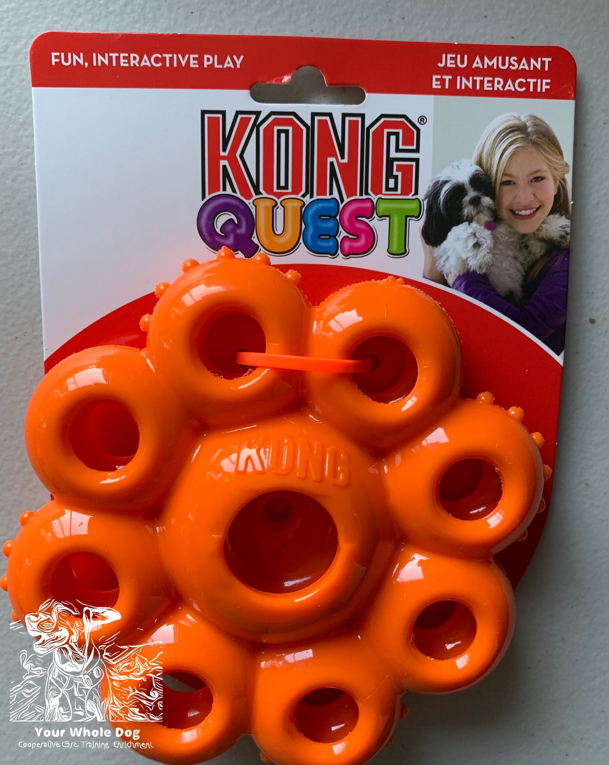 The CLEARANCE: KONG Quest Star Pod, perfect for light chewers, features multiple circular openings. The packaging shows a woman and dog, emphasizing natural foraging behavior and interactive play in English and French.
