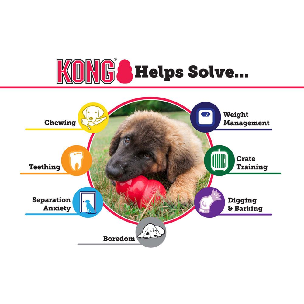 An infographic from Your Whole Dog features a puppy chewing on a red SALE: KONG Classic Puppy toy in the center, surrounded by icons and text highlighting the toy’s benefits for appropriate chewing behavior, teething, separation anxiety, boredom, weight management, crate training, and managing digging & barking.