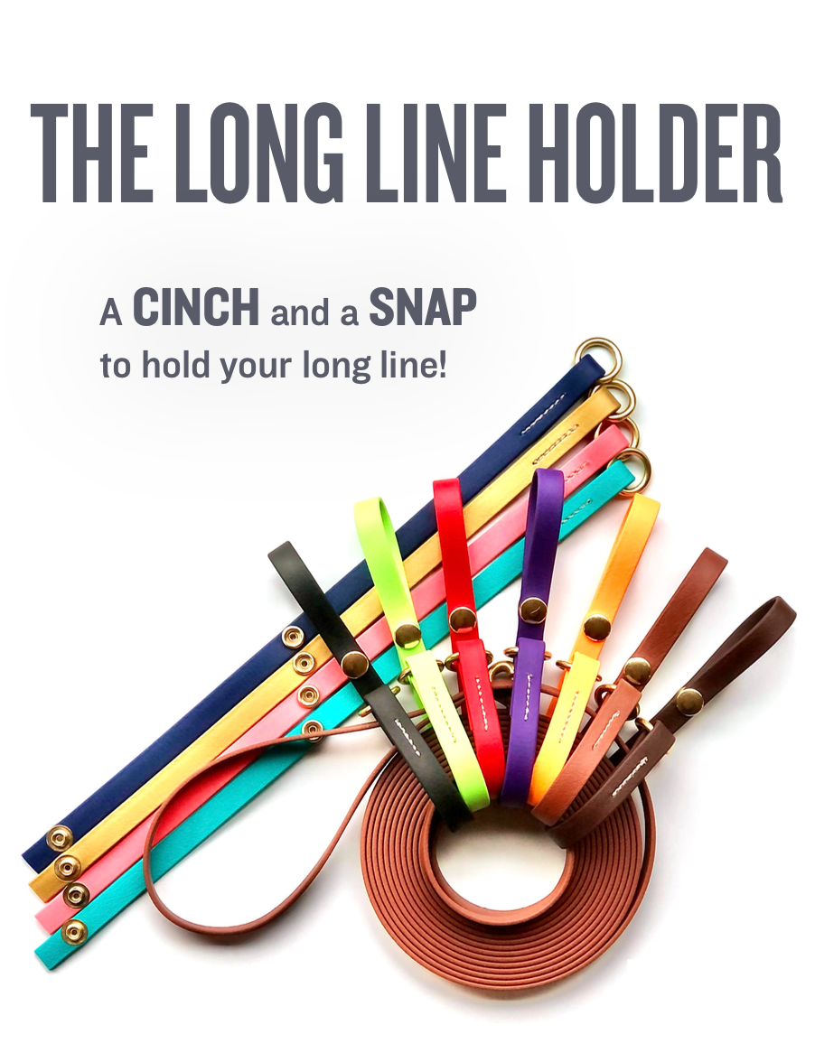 The Trailblazing Tails: The Long Line Holder by Your Whole Dog.