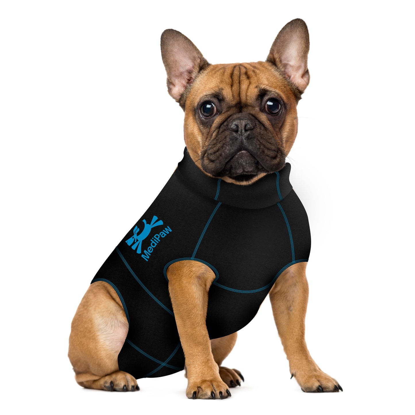 A French bulldog wearing a MediPaw Protective/Surgical Dog Suit by Your Whole Dog in black and blue sits against a white background. This dog-friendly suit, featuring a logo on the side, provides a stylish alternative.