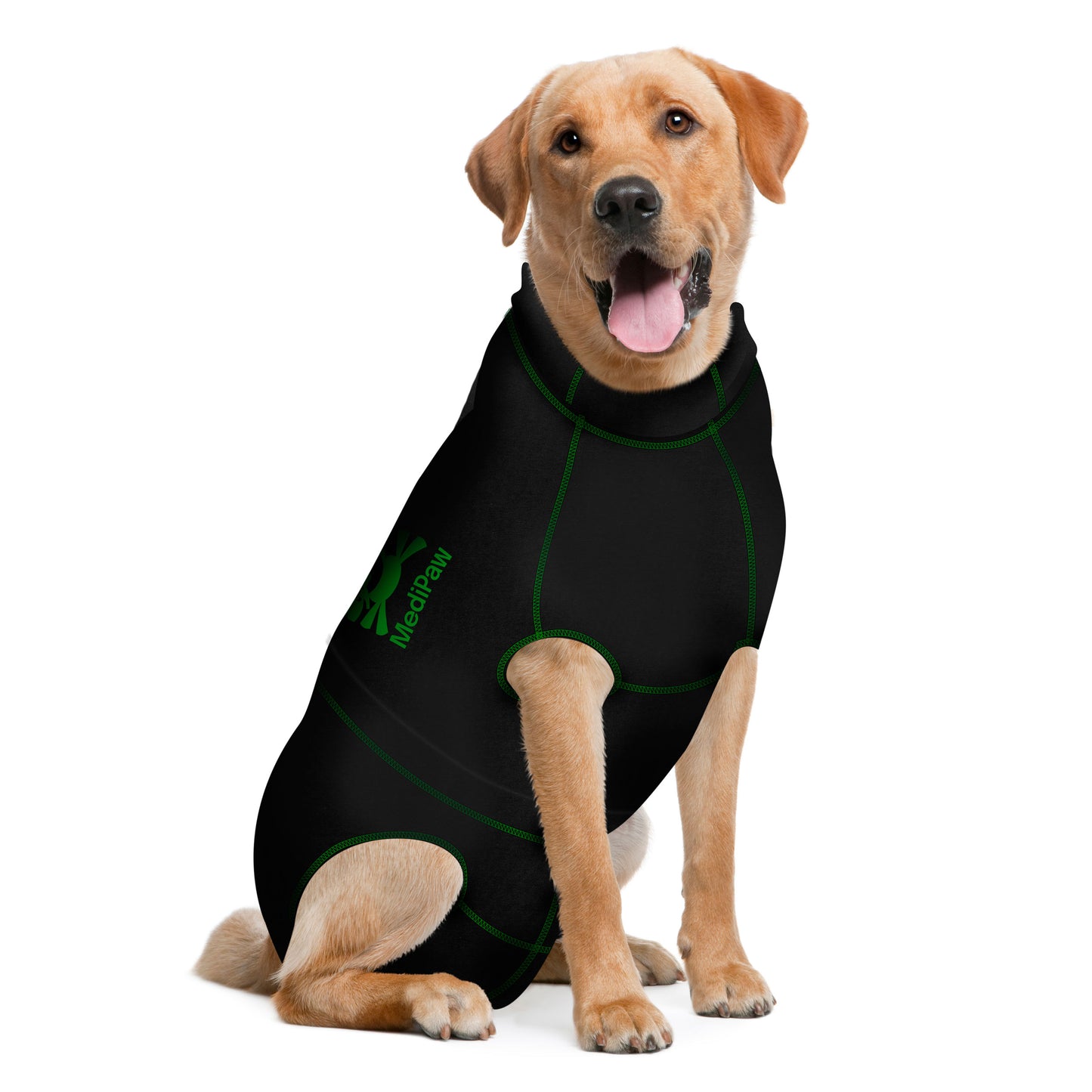 A Labrador Retriever, wearing the MediPaw Protective/Surgical Dog Suit by Your Whole Dog in black and green, sits with its mouth open, looking forward with eager eyes.