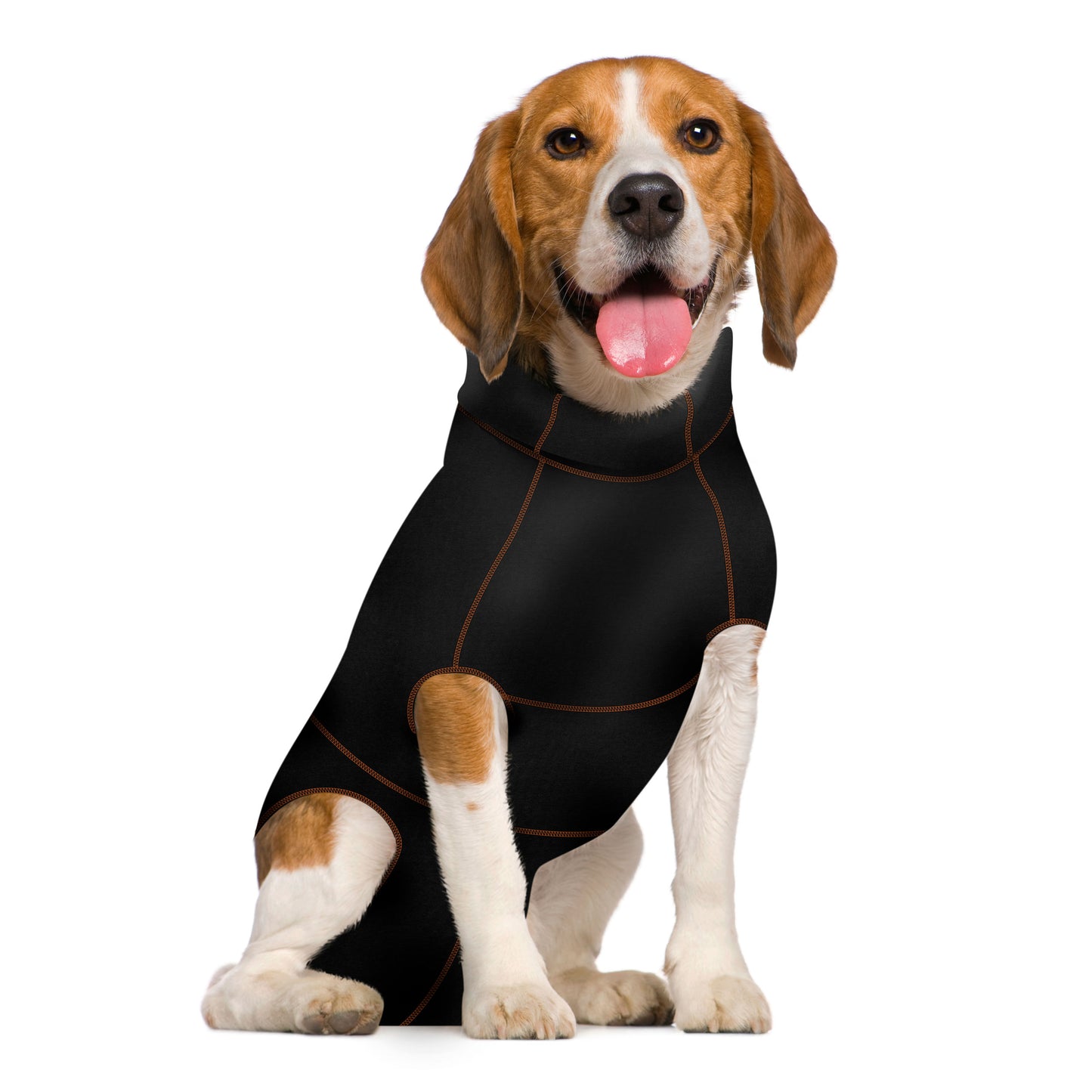 A dog wearing a sleek, black MediPaw Protective/Surgical Dog Suit from Your Whole Dog sits down, tongue out and looking ahead.
