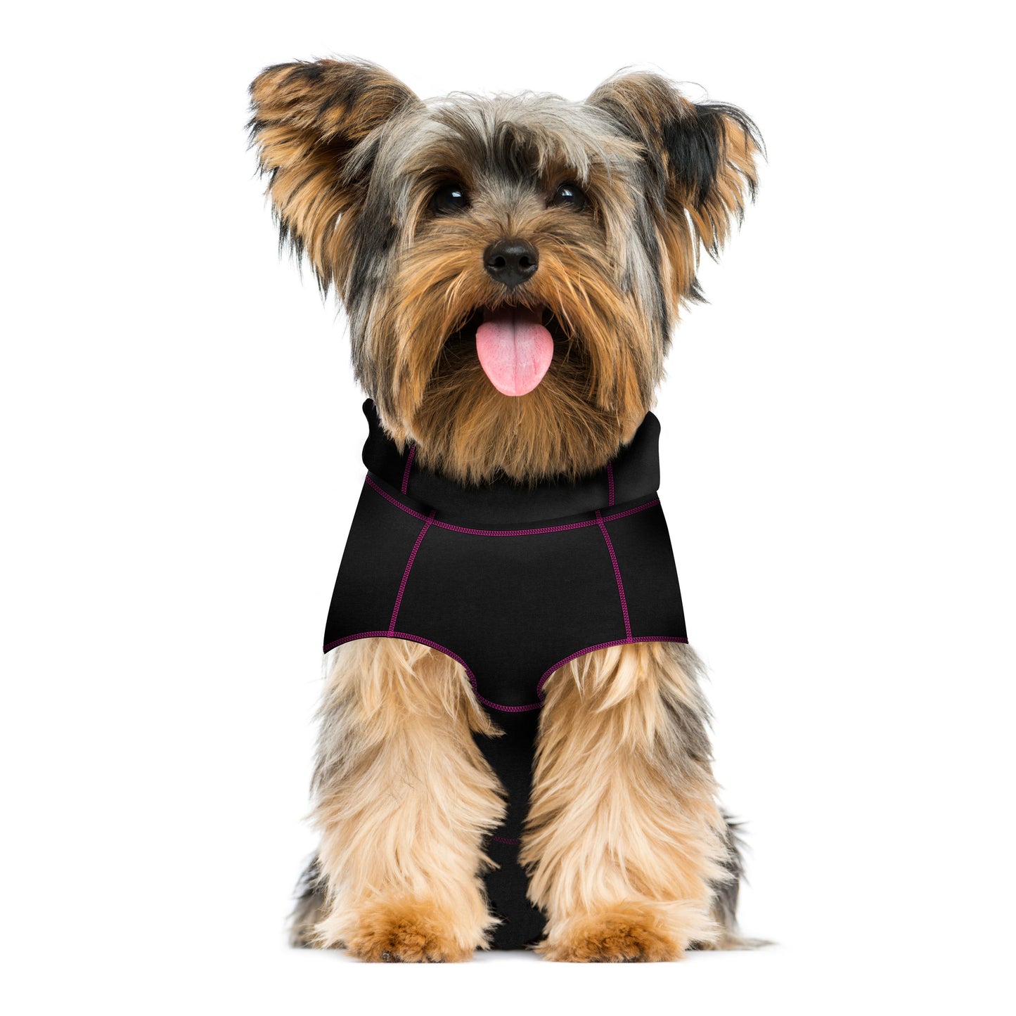 A small dog with long fur is sitting, wearing the chic and functional MediPaw Protective/Surgical Dog Suit from Your Whole Dog, featuring a sleek black design with purple accents. The pup gazes forward with its tongue out, enjoying the outfit that doubles as protective clothing.