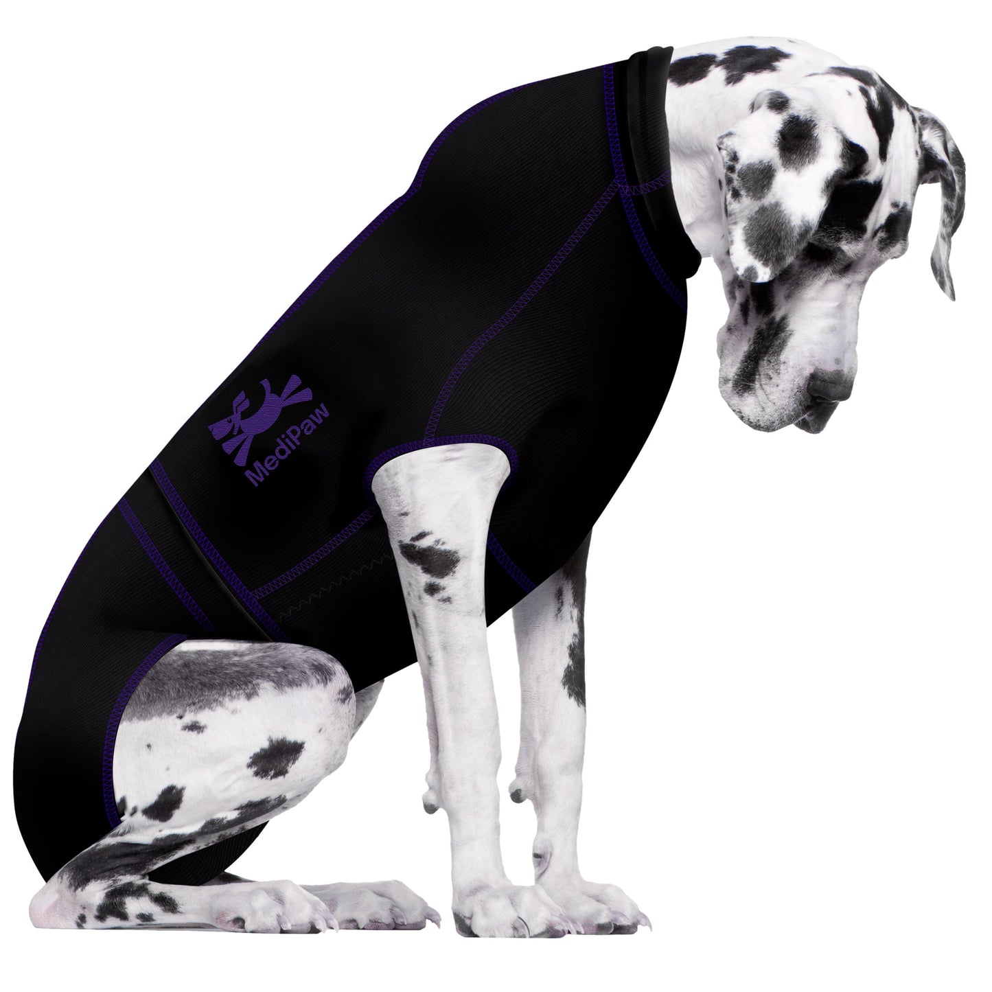 A Dalmatian dog wears a black and purple "MediPaw Protective/Surgical Dog Suit" by Your Whole Dog, an innovative piece of protective clothing, as it sits with its head down.