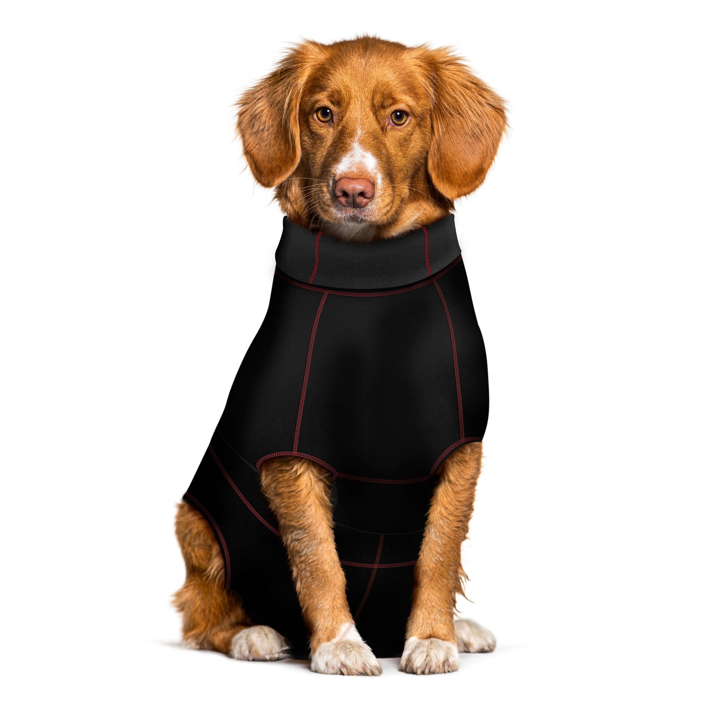 A brown dog is sitting comfortably, donning the MediPaw Protective/Surgical Dog Suit by Your Whole Dog—a dog-friendly alternative that doubles as protective clothing.