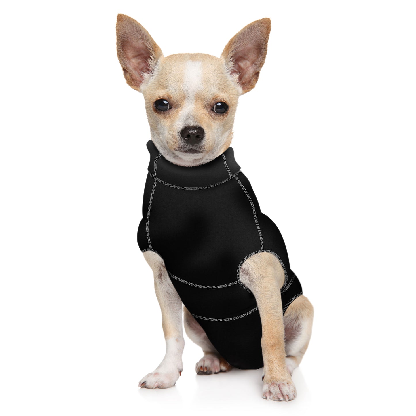 A small dog wearing a fitted black MediPaw Protective/Surgical Dog Suit by Your Whole Dog sits on a plain white background.