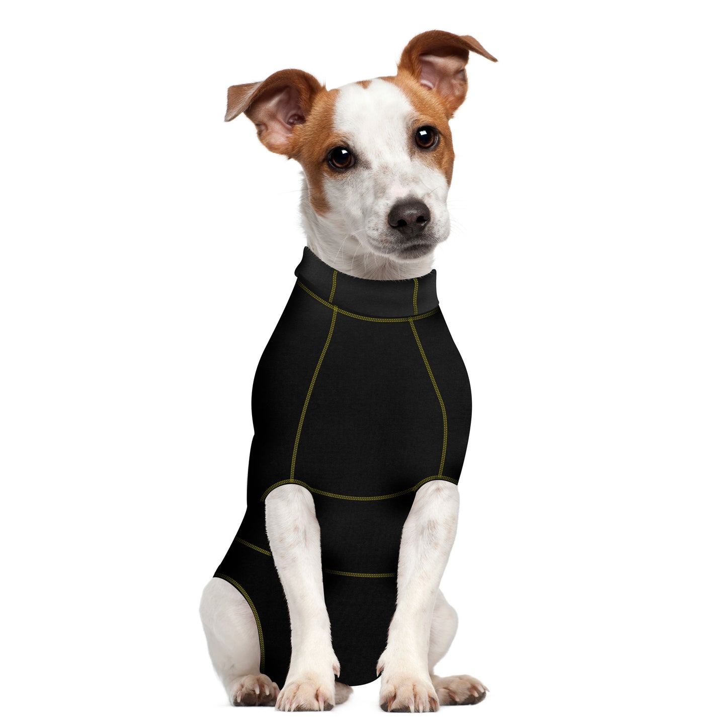 A small dog, dressed in a Your Whole Dog MediPaw Protective/Surgical Dog Suit in black and green, sits attentively and looks forward.