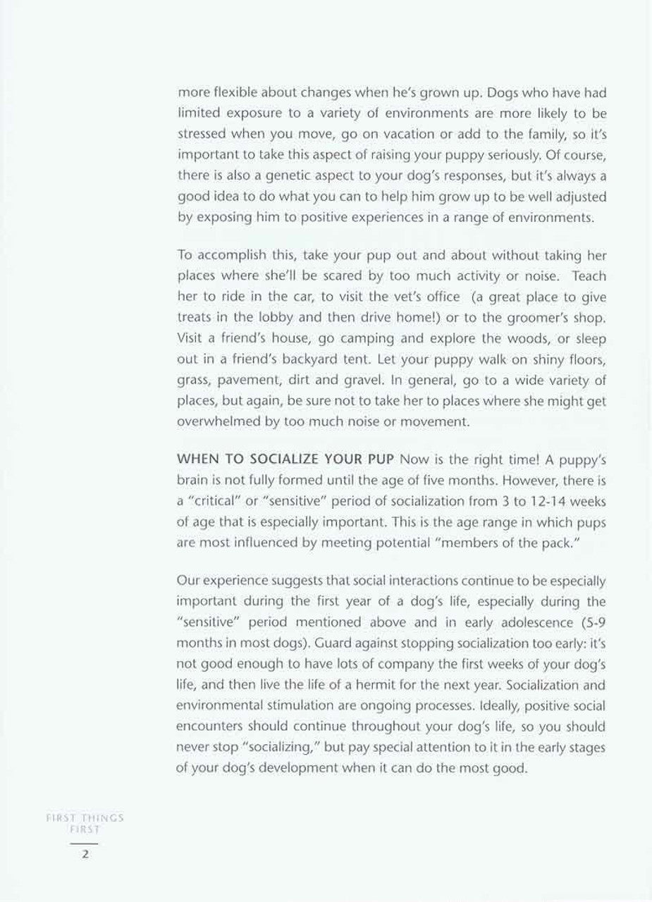 A white page with text on it, offering positive reinforcement techniques for dog training using the Book: The Puppy Primer (2nd Edition) from Your Whole Dog.