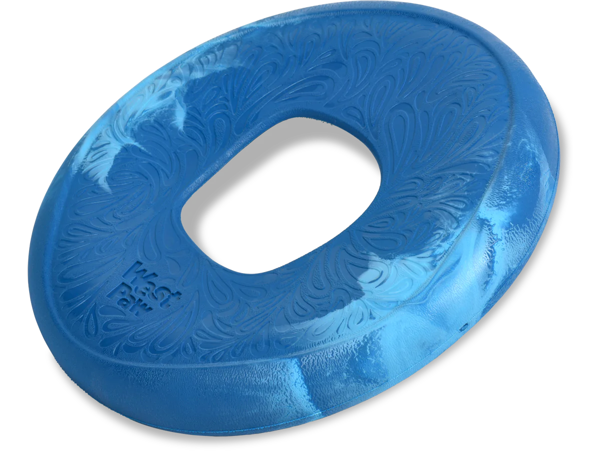 The West Paw Sailz, made from Seaflex, is a blue oval rubber toy featuring a textured surface and open center, ideal for endless fetch games.