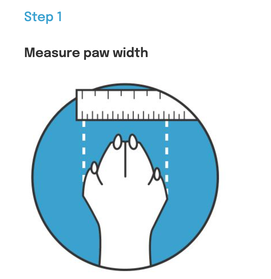 Illustration of a dog's paw with a ruler measuring its width. Red dashed lines indicate where to measure for the MediPaw Healing Slim Boot by Your Whole Dog, which provides wound protection and features an antimicrobial lining.