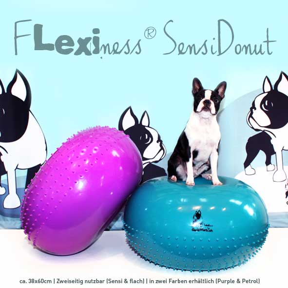 A black and white dog sits on a blue, textured Flexiness SensiDonut by Your Whole Dog, with a purple one beside it. The background features illustrations of similar dogs. Text: "Flexiness SensiDonut" for balance training and muscle building.