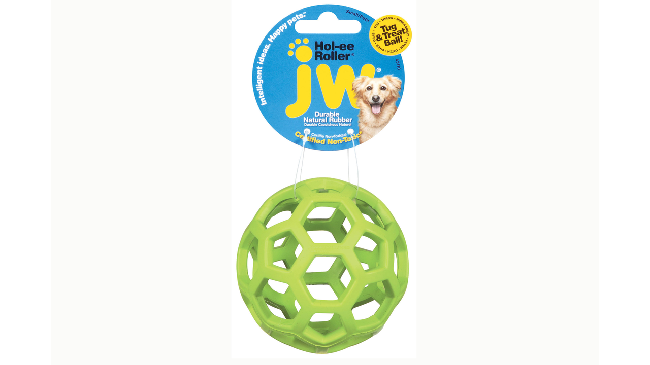 A small green JW Hol-ee Roller ball Available from Your Whole Dog.