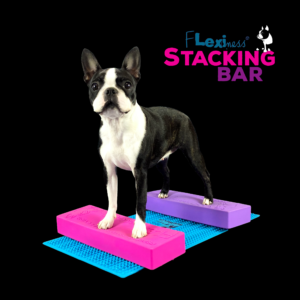 A Boston Terrier stands on pink and purple foam blocks on a blue mat, highlighting SensiMat compatibility. "Flexiness StackingBar" by Flexiness Canine Fitness Equipment appears in the top right corner.