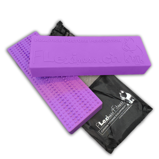 Two purple Flexiness StackingBar yoga blocks, featuring textured surfaces and Flexiness Canine Fitness Equipment branding, seamlessly designed for SensiMat compatibility, are placed on a sleek black mesh carrying bag.