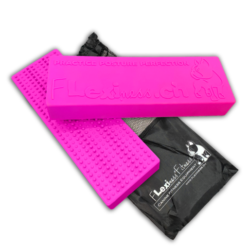 The Flexiness StackingBar by Flexiness Canine Fitness Equipment includes two pink FRP blocks with dotted texture, logo, and "Practice Posture Perfection" text. Comes with a black carrying bag. SensiMat compatible, these blocks enhance versatility for various activities.