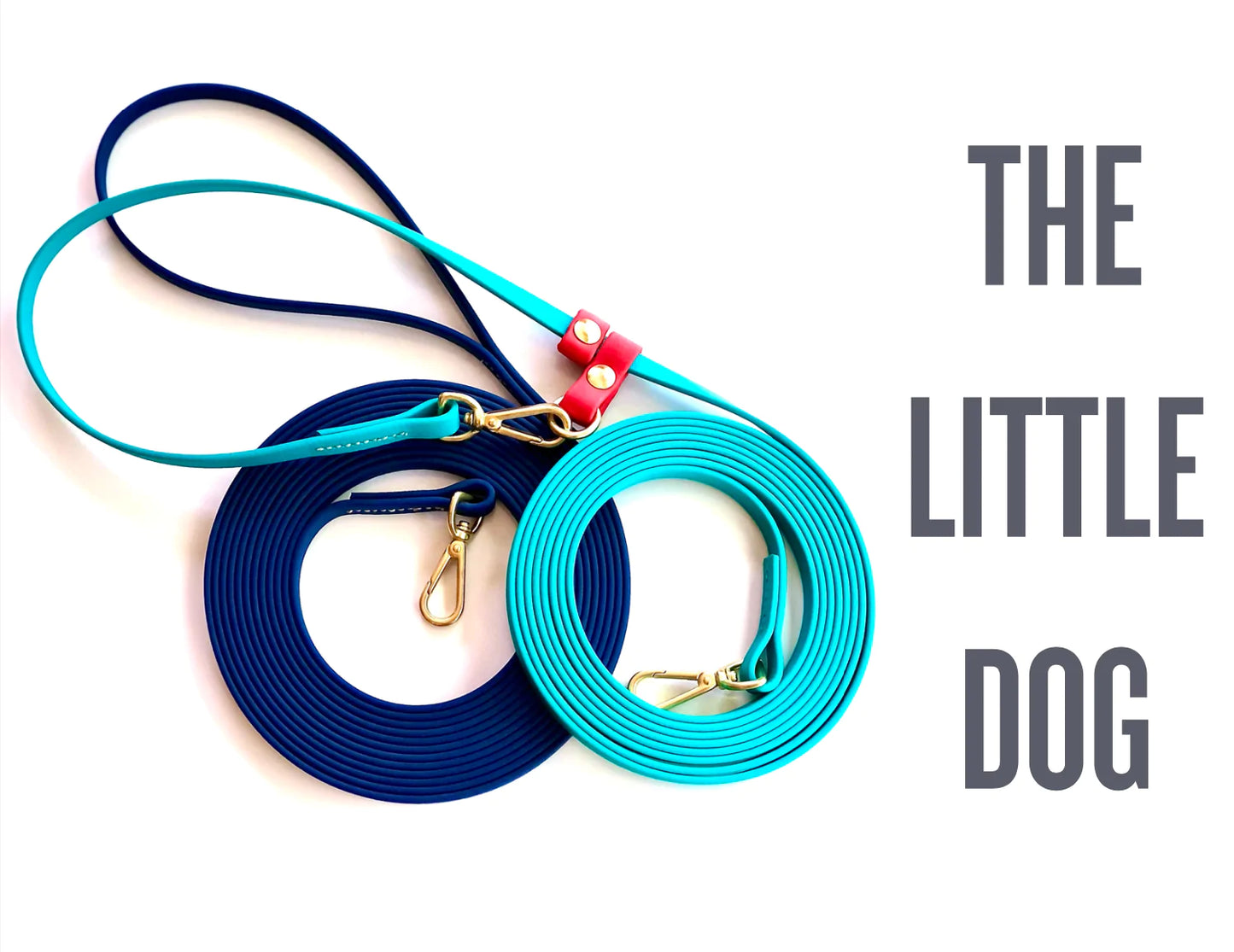 Two rolled-up, ultra-lightweight dog leashes, one blue and one turquoise, are displayed on a white surface. The text "Trailblazing Tails: The Little Dog" by Your Whole Dog is written in capital letters on the right side.