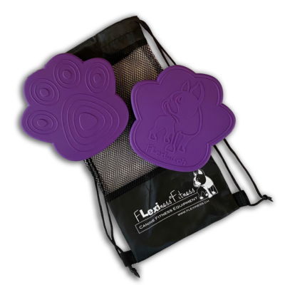Two purple Flexiness ToyPawDiscs, ideal for canine fitness and balance training, rest on a drawstring bag with a "Flexiness Fresh" label and dog silhouette logo. These rubber fitness tools are a perfect addition to your pet's exercise routine by Flexiness Canine Fitness Equipment.