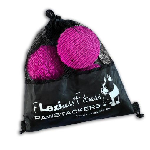 A black mesh bag labeled "Flexiness ToyPawStackers" by Flexiness Canine Fitness Equipment holds pink, textured anti-slip balance discs—ideal for advanced dogs training balance and coordination.