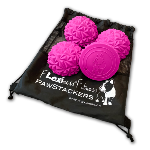 A black drawstring bag labeled "Flexiness ToyPawStackers" from Flexiness Canine Fitness Equipment contains three textured pink balls and one flat pink disc with dog designs, made of anti-slip material—ideal for advanced canine training.