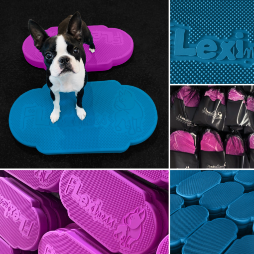 A black and white dog stands on a Flexiness Canine Fitness Equipment platform, perfect for balance training. Close-ups highlight the stability of the blue platforms and Flexiness TwinDisc (purple), both featuring the brand's logo.