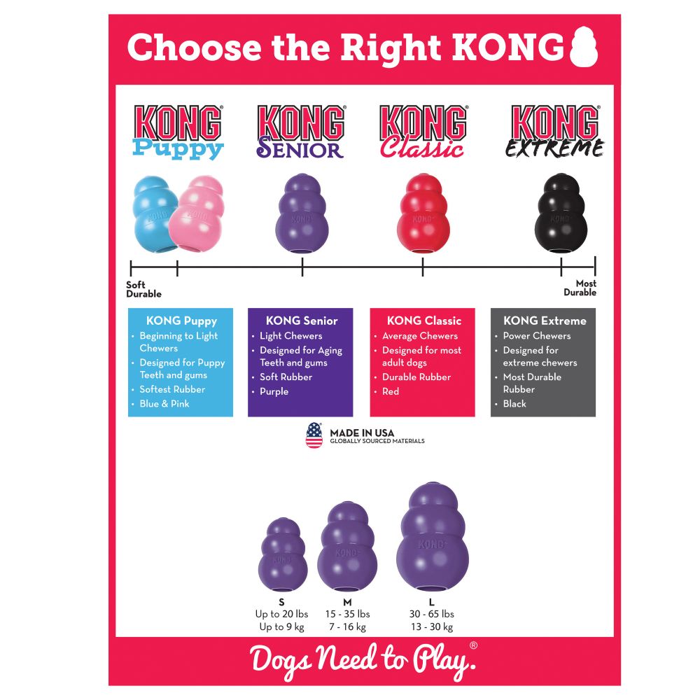 Infographic titled "Choose the Right KONG" showcases four KONG dog toys: Puppy, Senior, Classic, and Extreme. Each includes size and durability details tailored for specific needs, like the KONG Senior's design for aging dogs' chewing requirements.