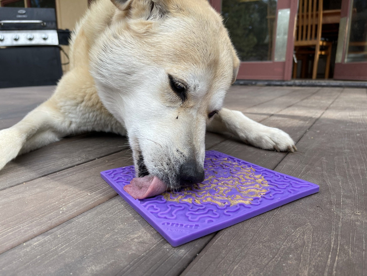 A dog joyfully forages and licks food from a Soda Pup EMAT Enrichment Licking Mat spread on the wooden floor.
