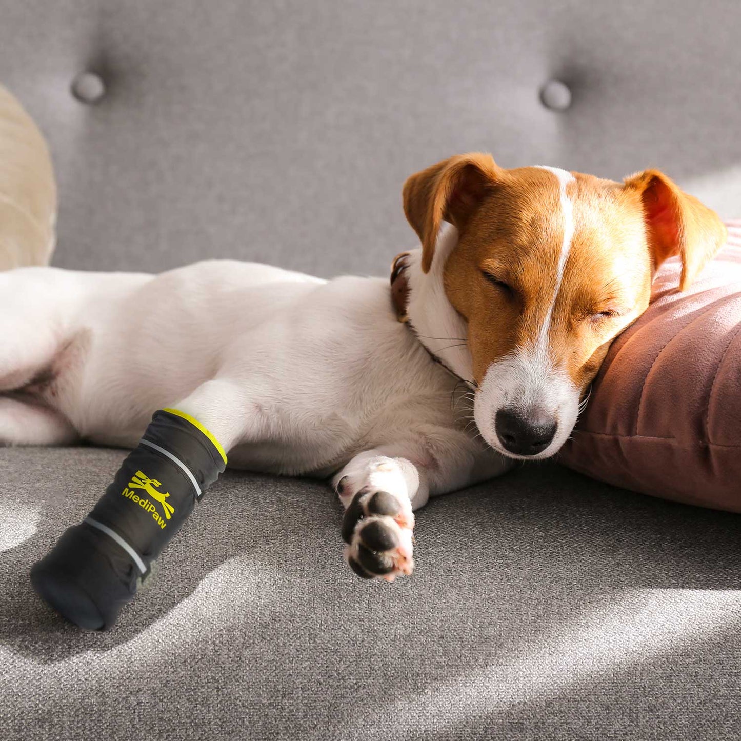 A small dog rests on a gray couch, wearing a MediPaw Healing Slim Boot by Your Whole Dog, featuring an antimicrobial lining for optimal wound protection on one paw.