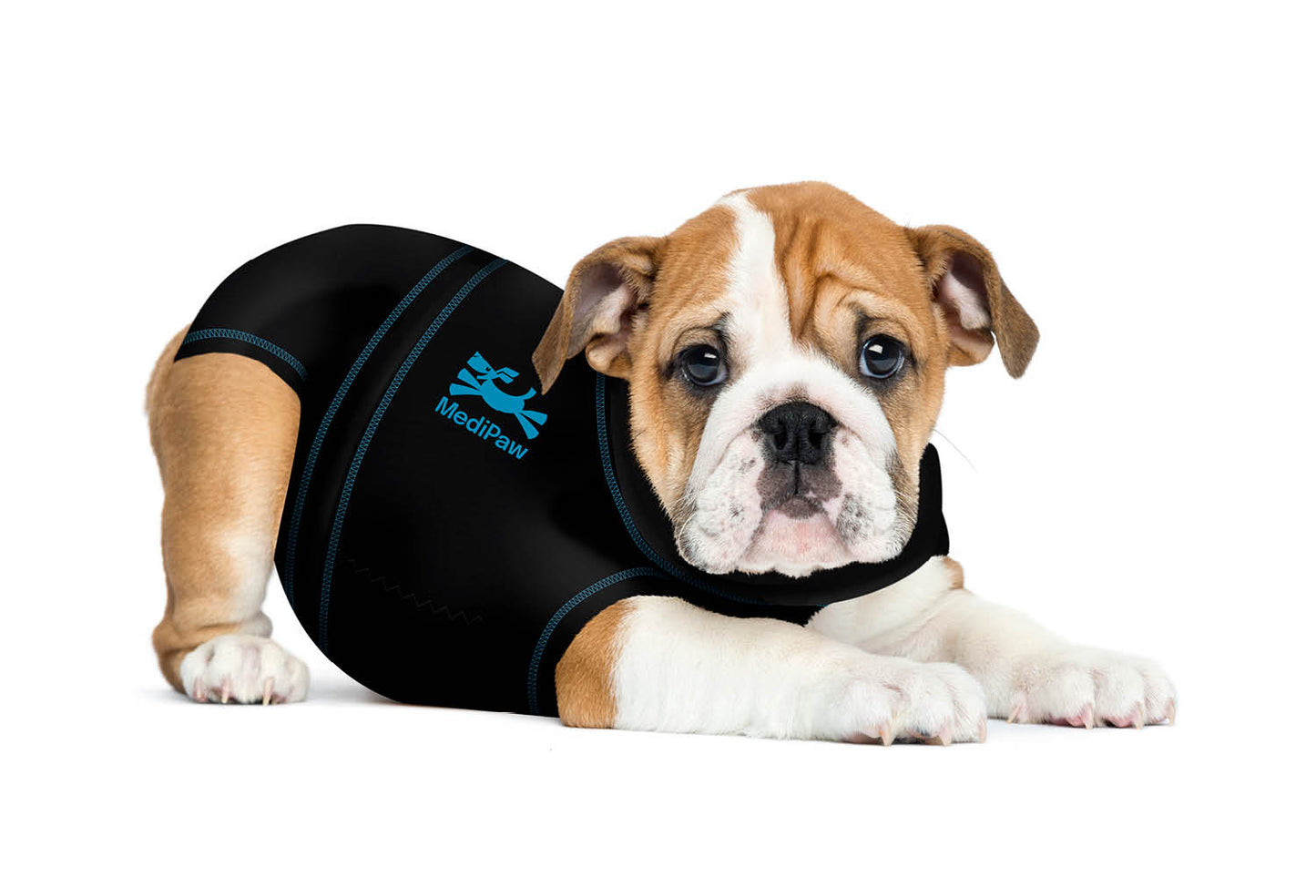 A puppy in a MediPaw Protective/Surgical Dog Suit by Your Whole Dog, featuring black fabric with blue branding, lies down, looking forward.