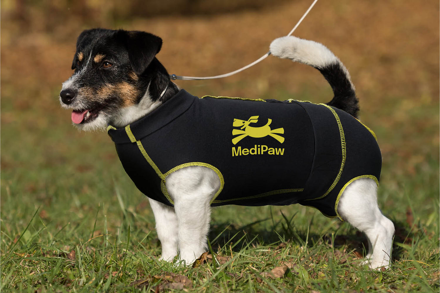A small dog wearing a black and yellow "MediPaw Protective/Surgical Dog Suit" by Your Whole Dog stands on grass, attached to a leash. This dog-friendly solution offers protective clothing during recovery.
