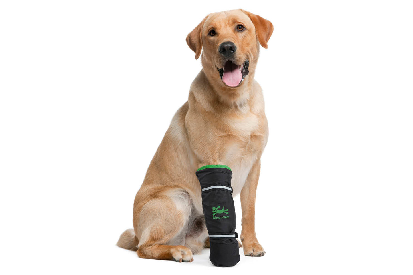 A sitting Labrador retriever wears the MediPaw Healing Slim Boot by Your Whole Dog on its front right leg, providing wound protection with an antimicrobial lining.