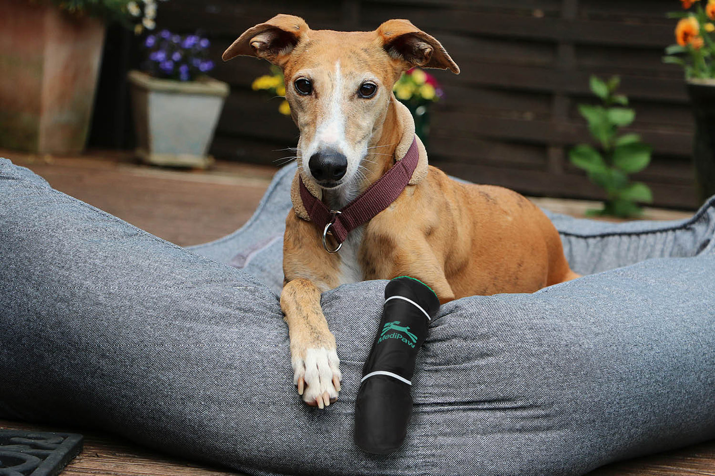 A dog with a brown coat and maroon collar relaxes on a gray dog bed, its front right paw secured in a black Your Whole Dog MediPaw Healing Slim Boot for wound protection.