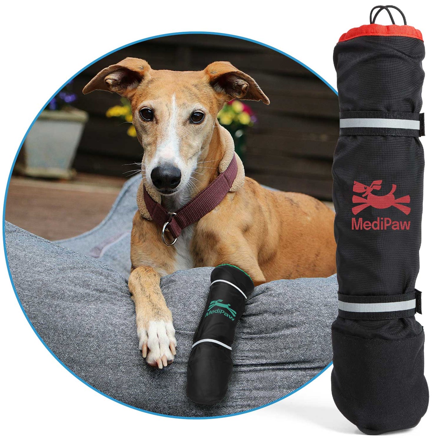 A dog wearing the protective "MediPaw Healing Slim Boot" with an antimicrobial lining from Your Whole Dog is resting on a gray bed. Next to the dog, an extra boot labeled "MediPaw Healing Slim Boot" lies rolled up, ensuring wound protection is always on hand.